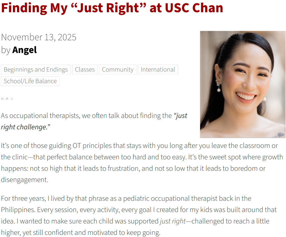 Cover of Angel's blog as seen on Chan's website