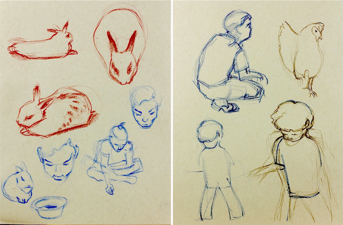 Sketches from rabbit pen and chicken coop