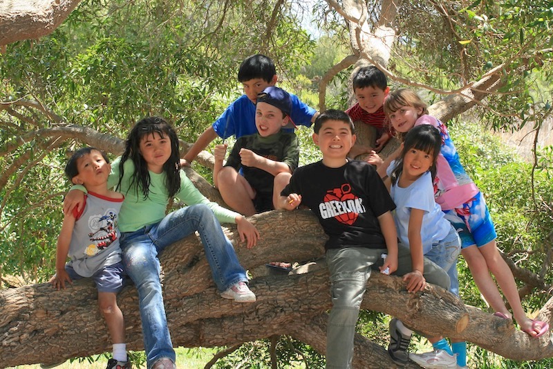 Eight children posing for a group picture in a tree