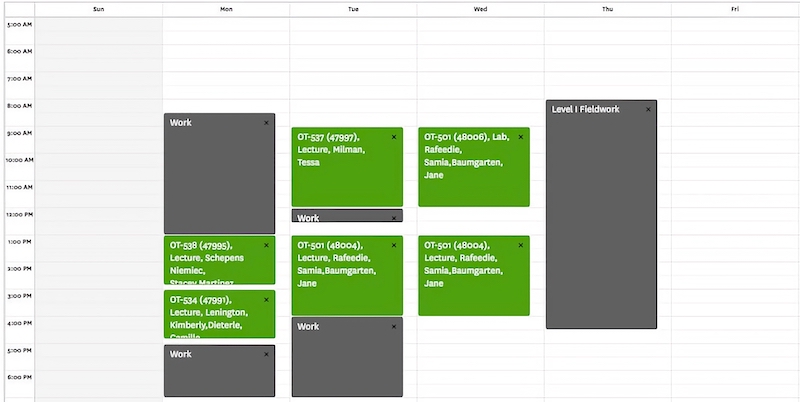 This image shows a typical weekly SChedule