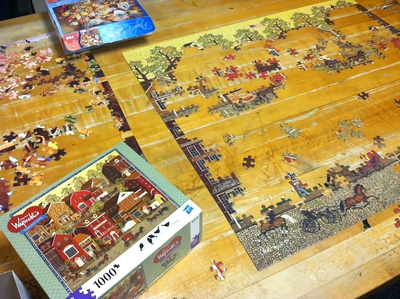 Puzzle activity with vets